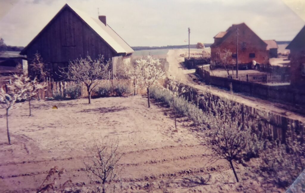 Blick in den Neubauernweg 1960. Quelle: Familie Kopanka.