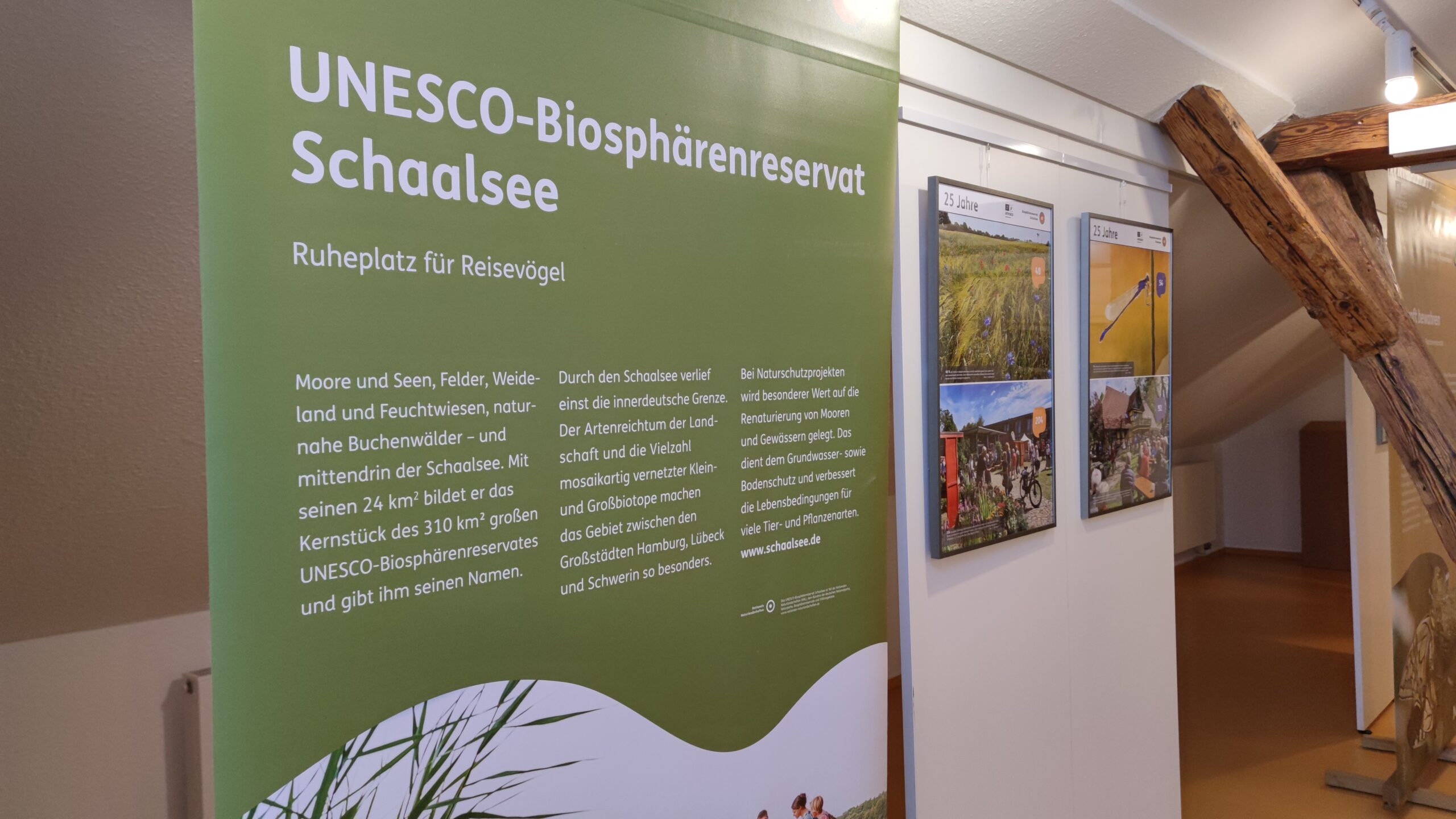Vom 25. September bis 19. Oktober zeigen wir die Sonderausstellung "25 Jahre UNESCO-Anerkennung für das Biosphärenreservat".